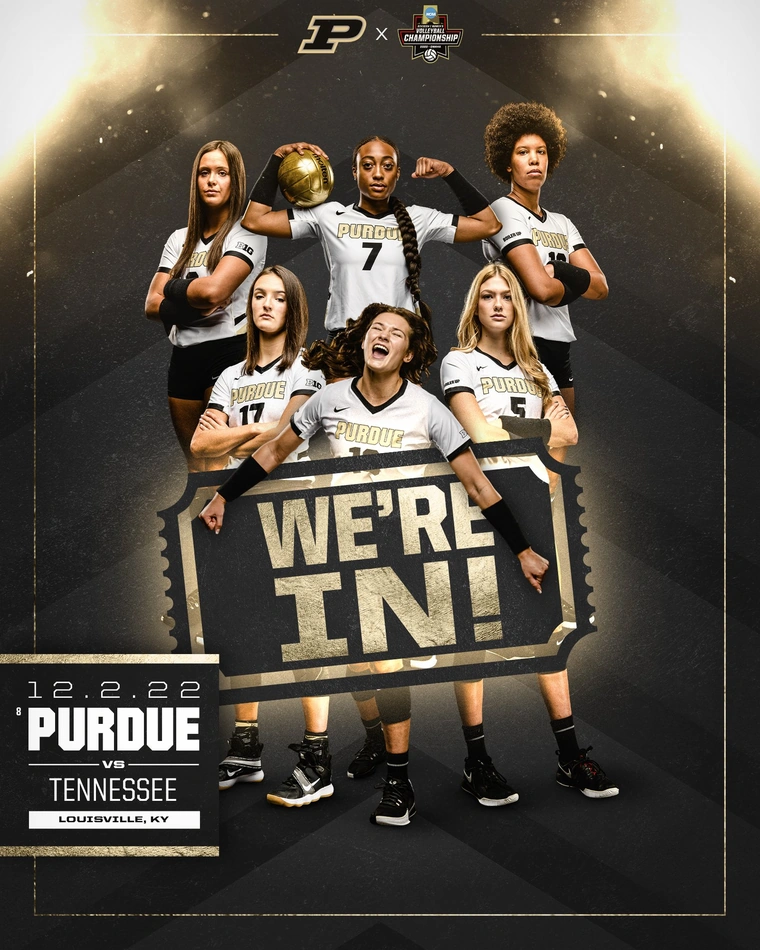 We're In volleyball graphic