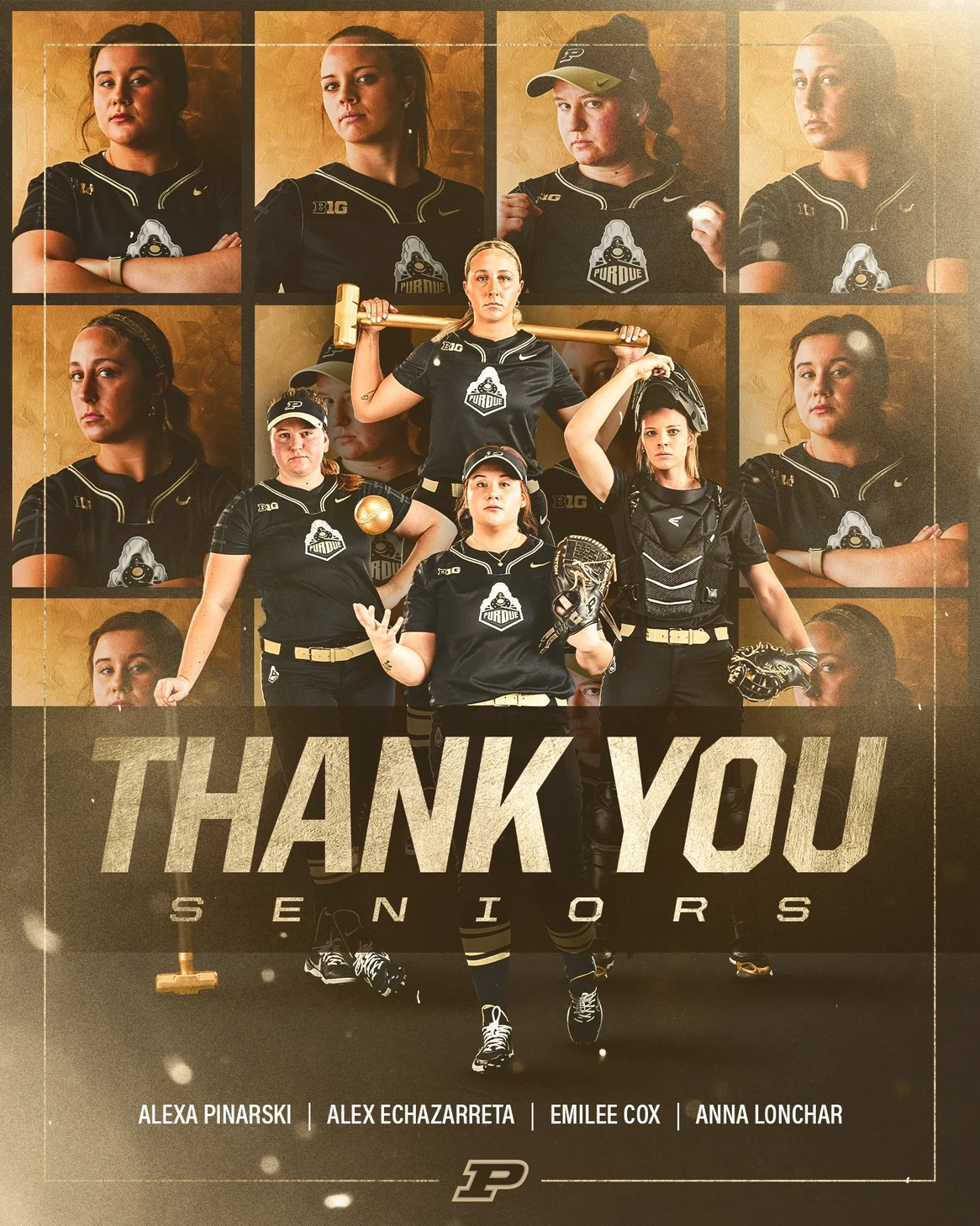 Thank You Seniors graphic for Purdue baseball