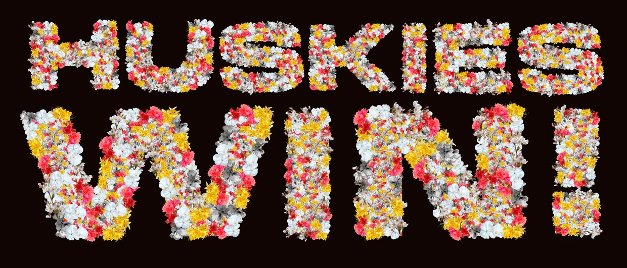 Huskies Win! floral text without the gradient overlay